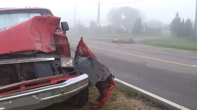 Seis accidentes fatales por semana