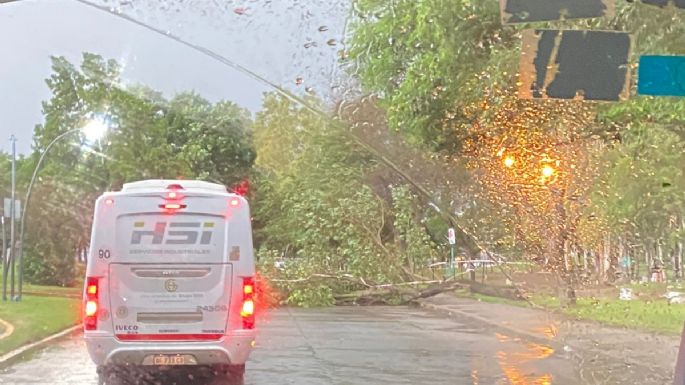 Fuerte viento en la ciudad y granizo en la región