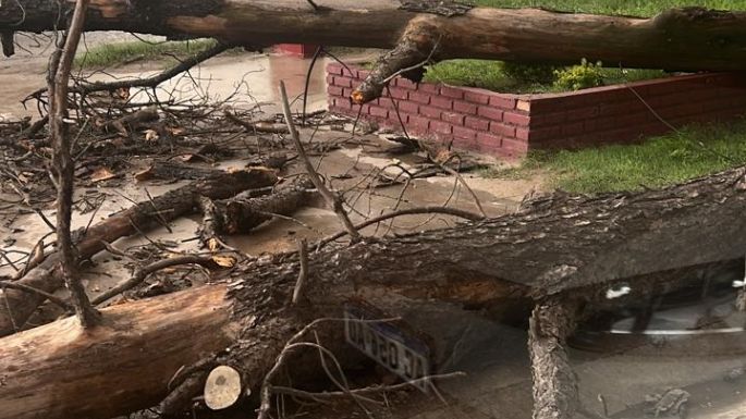 Fuerte viento en la ciudad y granizo en la región