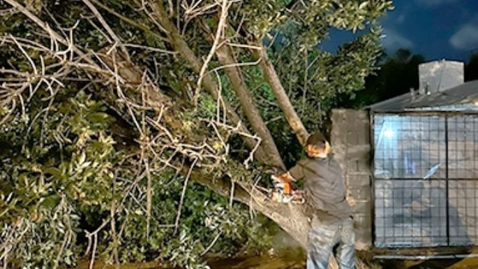 Reacondicionamiento tras la tormenta