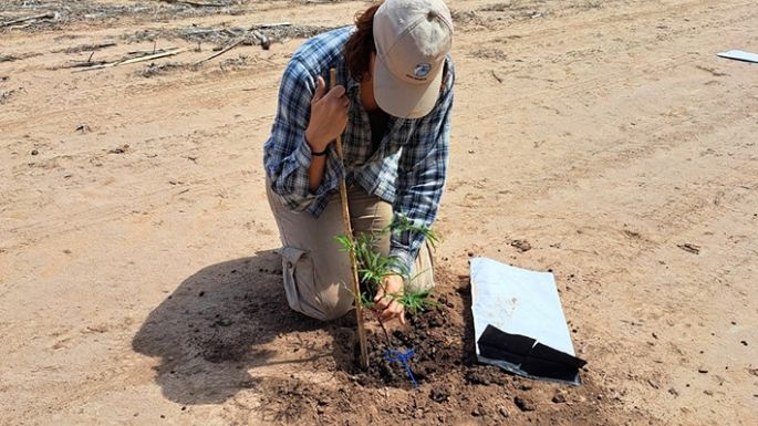 Determinan cuáles son las mejores especies