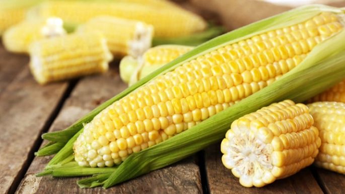 Cultivos: Maíz con humedad