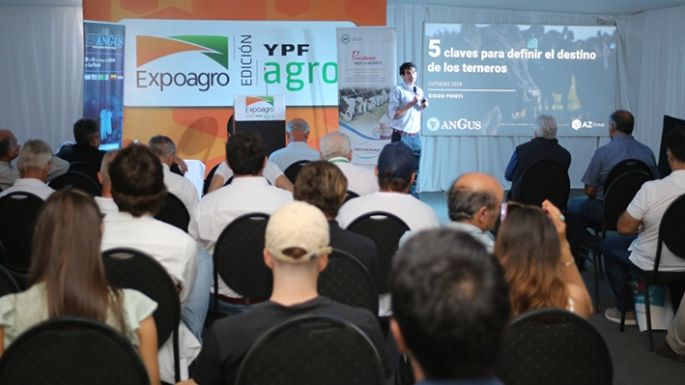 Ganadería: tiempo de decisiones