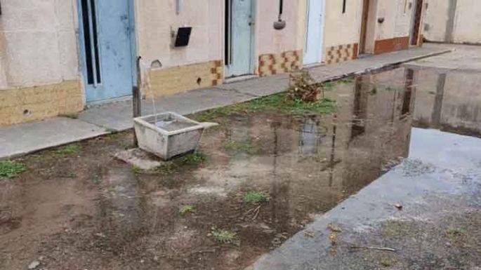 Ladrones en el cementerio