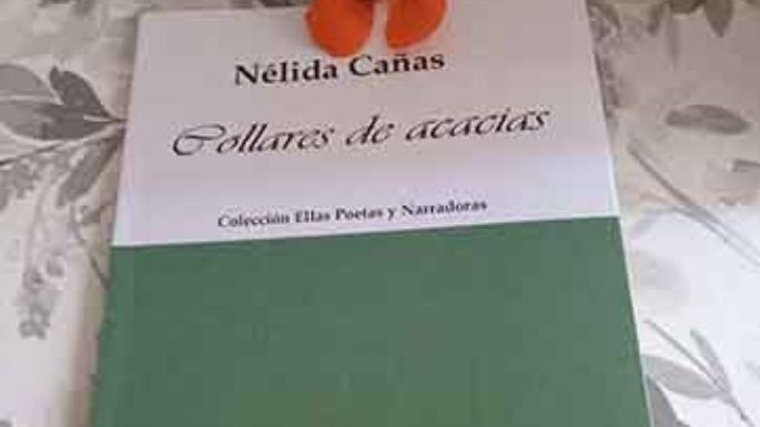 Varias presentaciones de libros