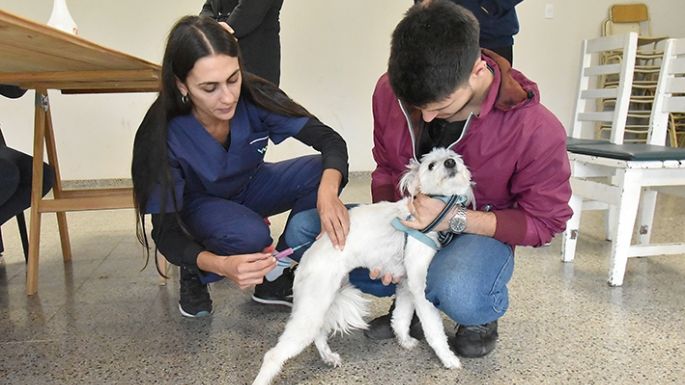 Sigue la semana con la vacunación