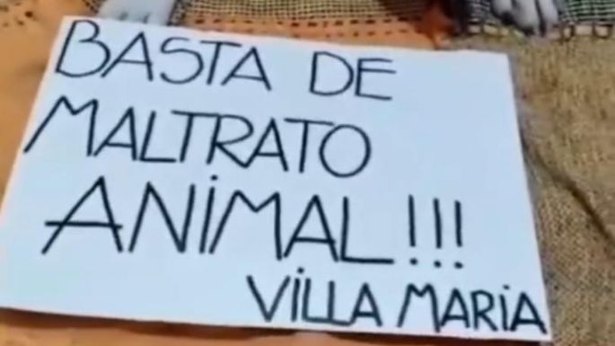 Villarruel convocó a la marcha de animalistas en Villa María