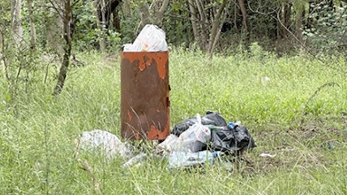 Histórica jornada de limpieza