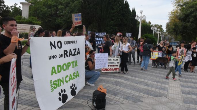 Vecinos marcharon contra el maltrato animal en la ciudad
