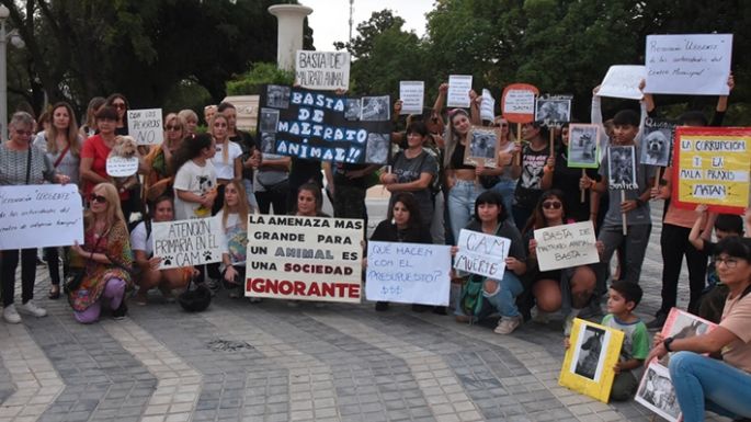 Por los animales