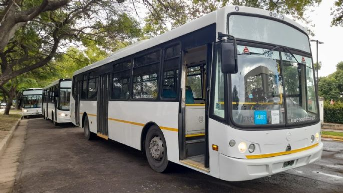 Accastello presentó 5 nuevos colectivos y planea sumar "entre 10 ó 15 antes de fin de año"