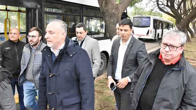 Incorporaron cinco colectivos