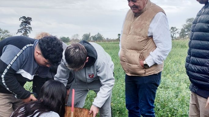 Plantando futuro