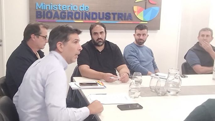 Seguirán de cerca al maíz