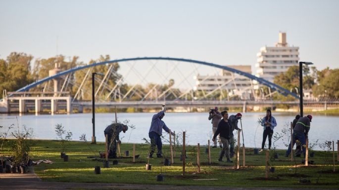 Plantaron el primer Bosque de Bolsillo en la costanera villamariense