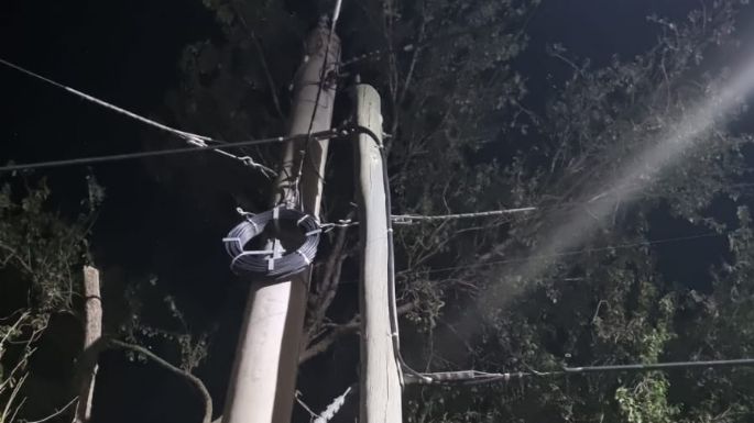 Los engancharon robando cables del tendido eléctrico