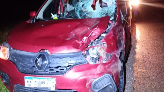 Chocaron contra un ciervo sobre autopista
