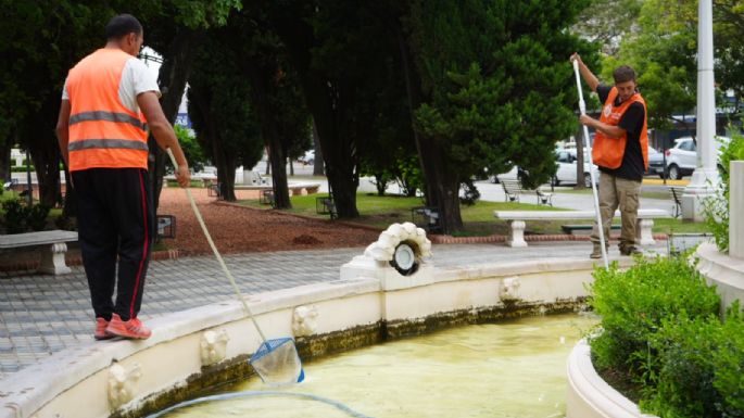 El municipio limpia espacios públicos para prevenir el dengue
