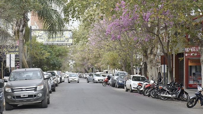 Sumaron muchos comercios para el pago por estacionar