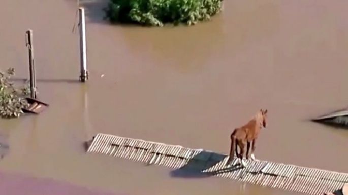 Brasil: lluvias ablandaron el suelo y provocaron temblores