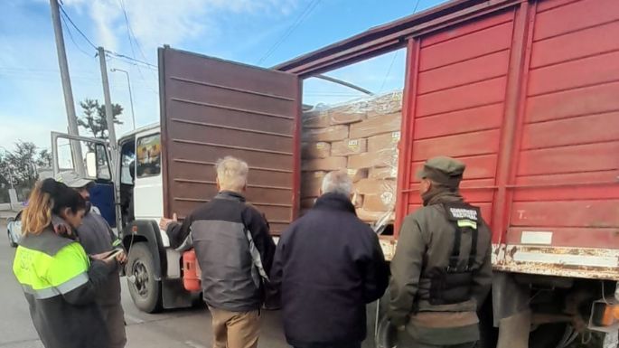 Interceptaron un camión que trasladaba alimentos sin equipo de frío