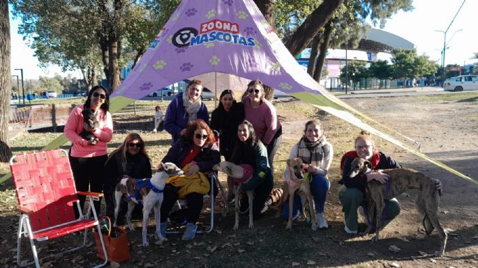 Realizaron un encuentro de galgos en la costa