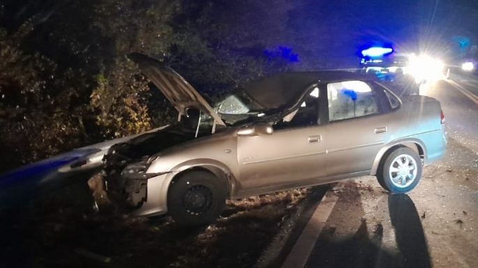 Un conductor chocó contra un caballo en la ruta
