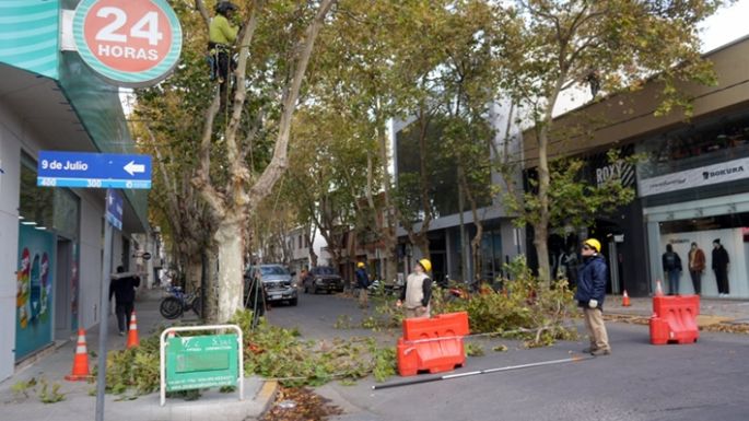 Podan sobre  la Mendoza