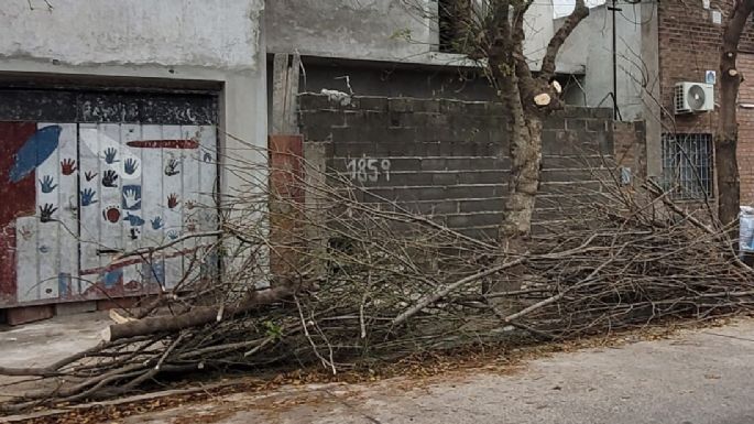 Un vecino reclama que dejaron un montículo de ramas en el ingreso a su garaje