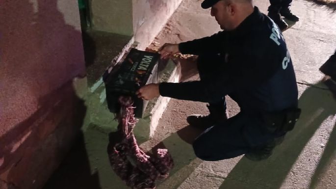 Detuvieron a un hombre tras secuestrarle una batería de camión