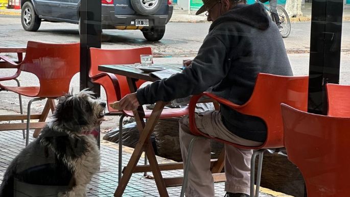 De vez en cuando la vida es bella