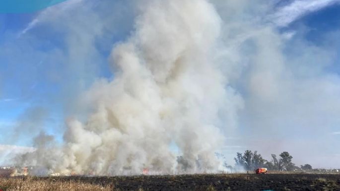 Incendio afectó a casi 10 hectáreas en zona rural