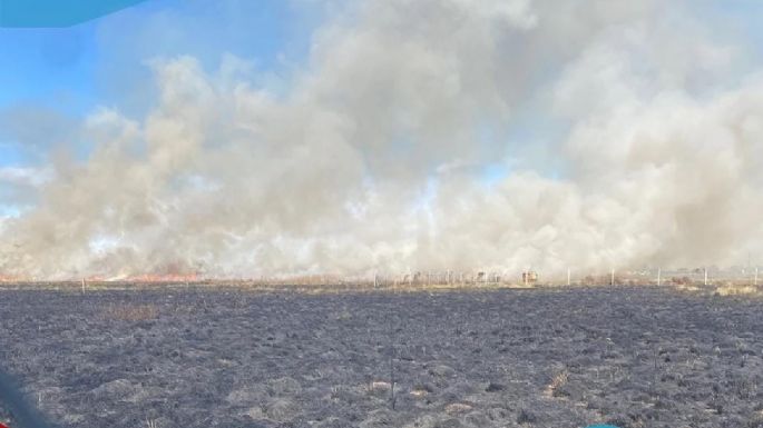 Incendio afectó a casi 10 hectáreas en zona rural