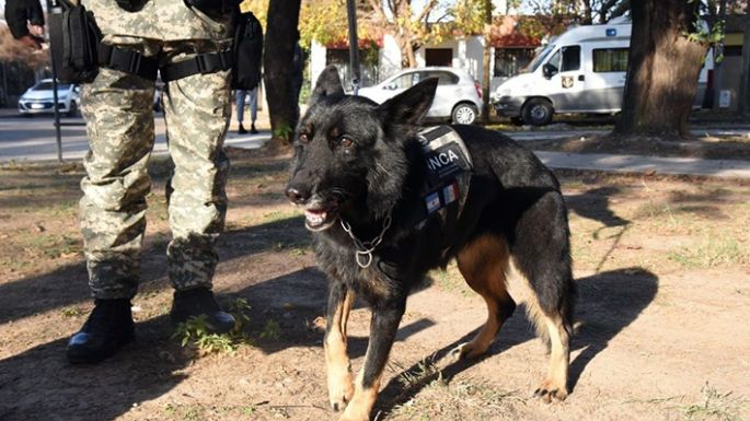 Se retiró la agente canina  “Inca”, tras ocho años de acción