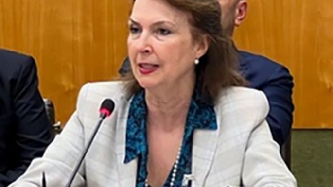 Mondino, en la ONU, en modo light sobre las Islas Malvinas