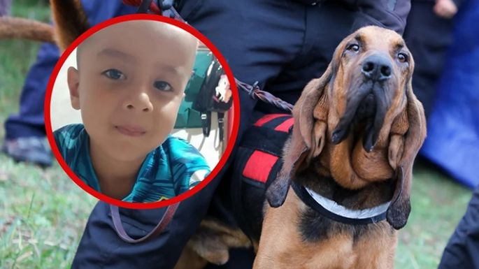Bomberos cordobeses también buscarán a Loan