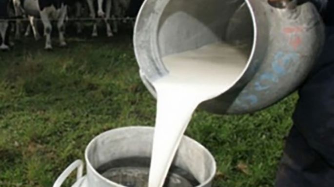 La producción  de leche cayó 14,5 % por baja  del consumo