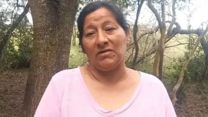 Caso Loan: la tía Laudelina Peña dice que el niño "pudo haber sido atropellado"