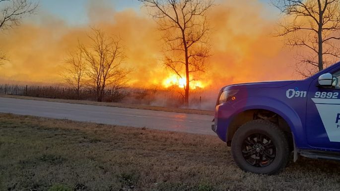 Bomberos sofocaron un incendio que afectó a más de 10 hectáreas