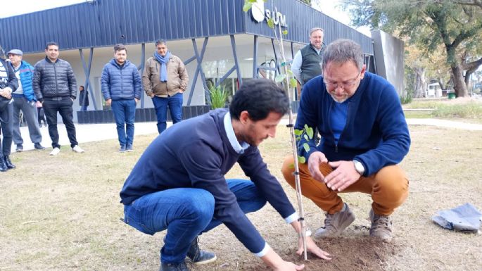 Empresas donaron árboles a la Municipalidad de Villa Nueva