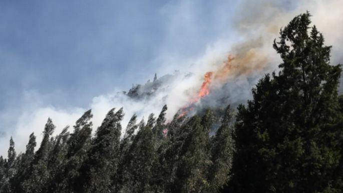 Un incendio forestal afectó  bosques de Bolivia y Brasil