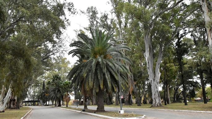 Comienza la acción en el Parque
