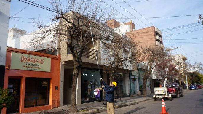Continúa la poda correctiva en distintos puntos de la ciudad