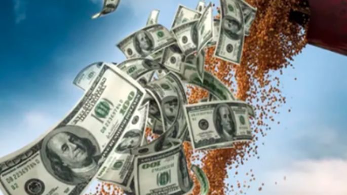 Argentina es el único líder con caída en exportaciones