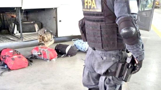 Incautan droga en las terminales