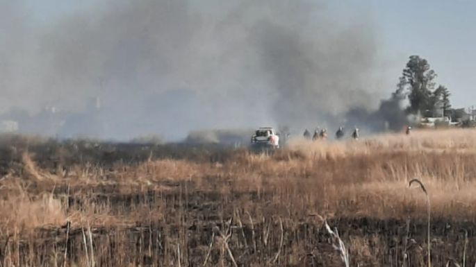 Los bomberos sofocaron un incendio de pastizales de grandes dimensiones