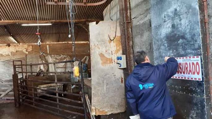 Clausuran una faenadora ilegal