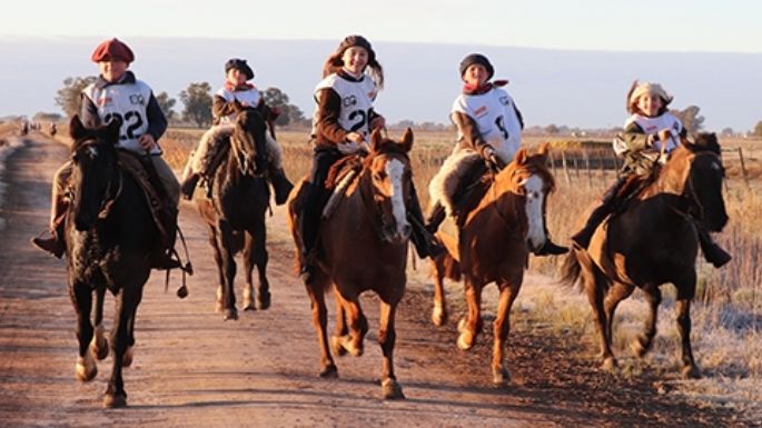 Los caballos criollos tendrán “Marca País”