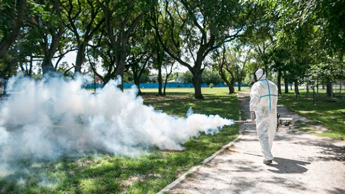 Hay puro humo por el dengue