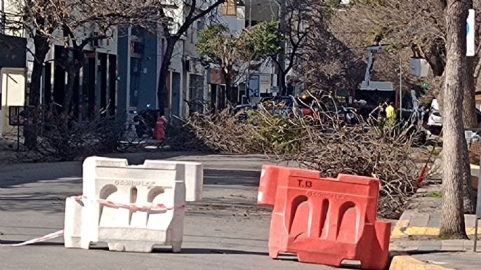 Quejas por corte de calles en el centro para poda de árboles